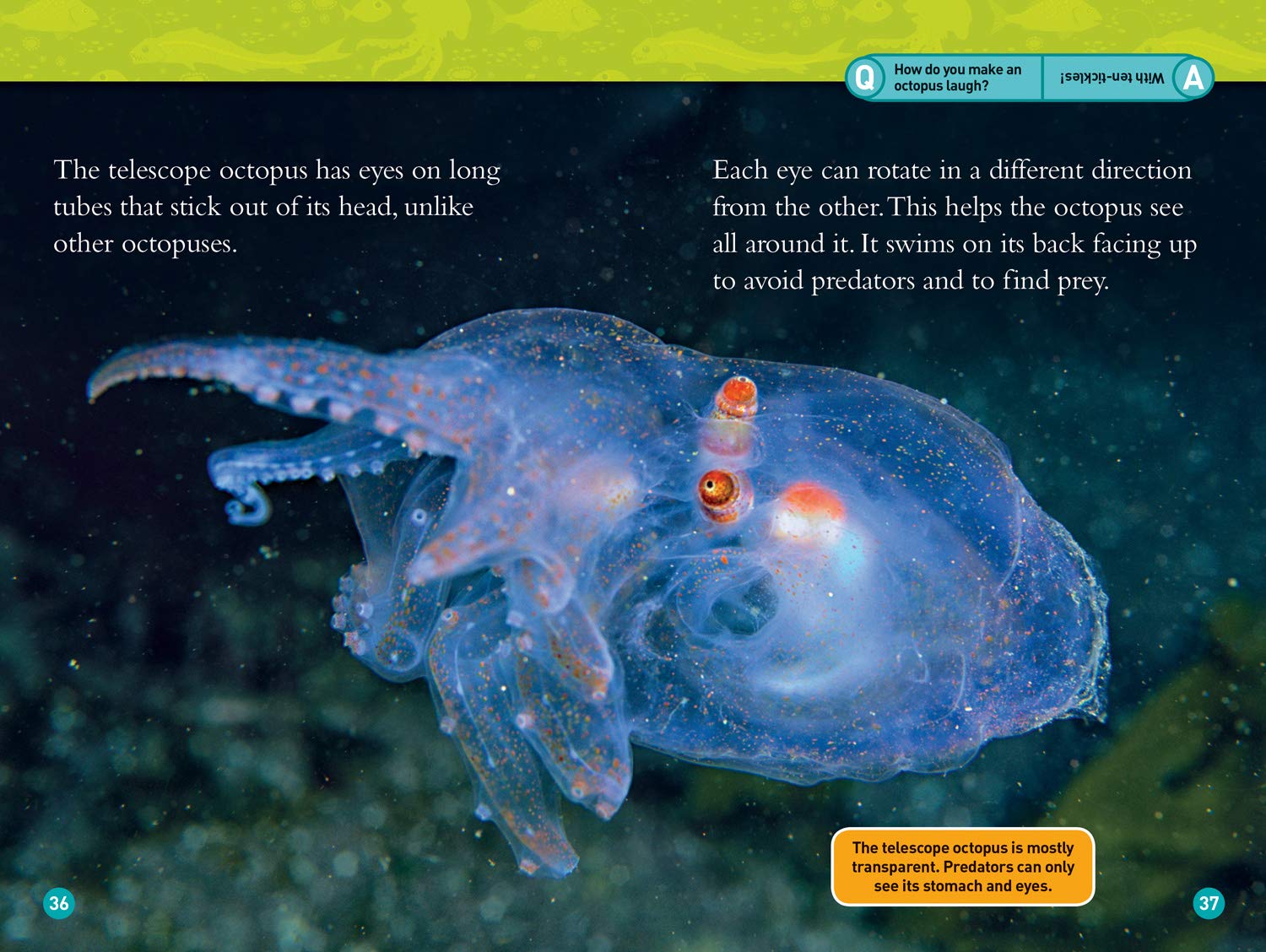 Alien Ocean Animals - National Geographic Kids
