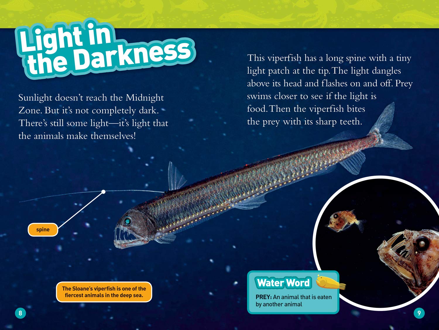Alien Ocean Animals - National Geographic Kids