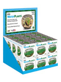 Mini WaterPlants