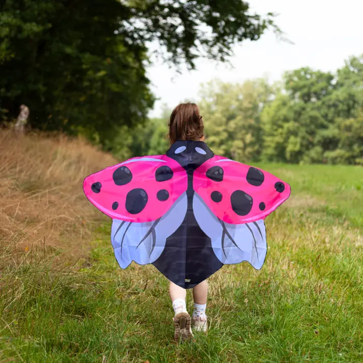 Ladybug Wings