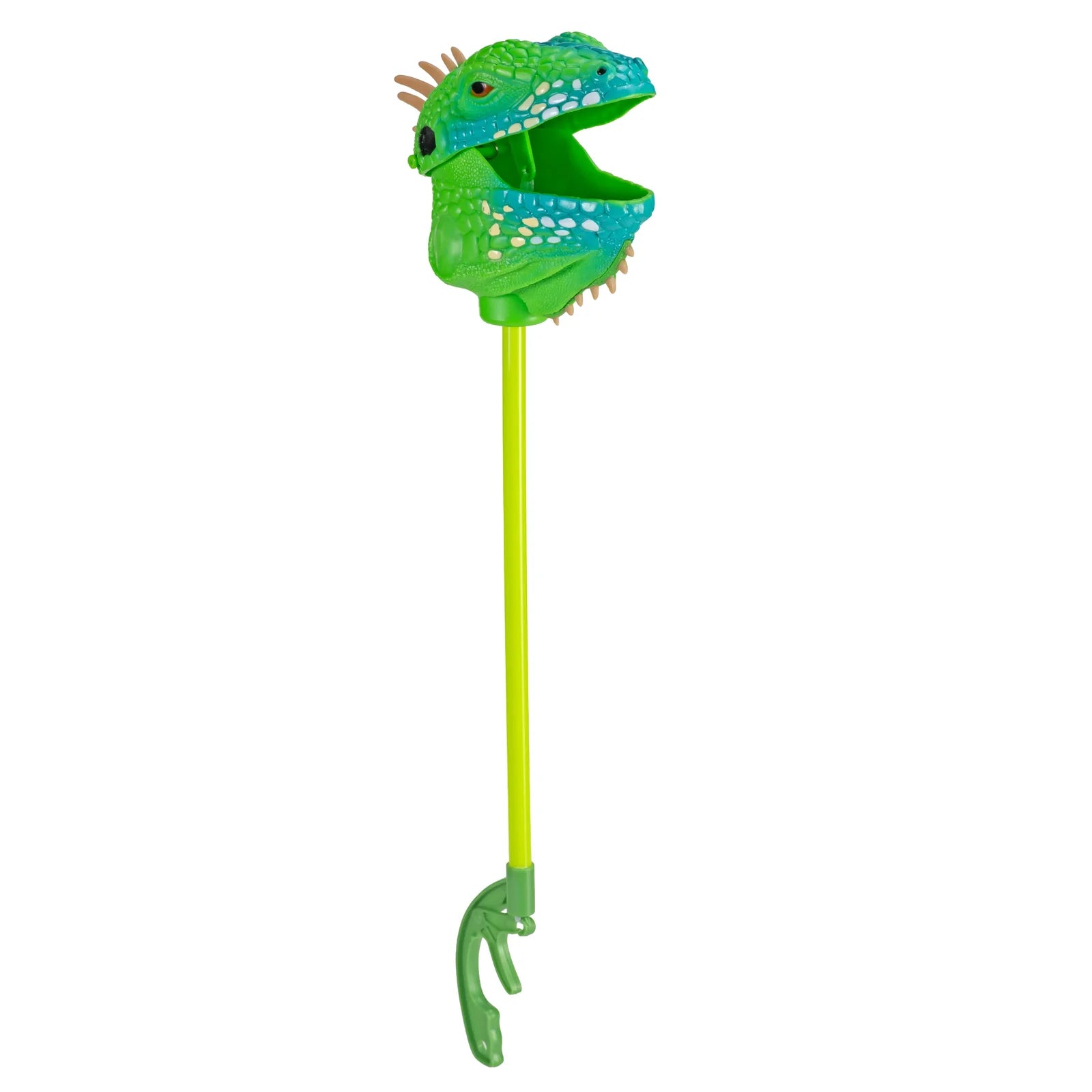 Pincher Iguana