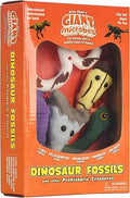 Dinosaur fossil gift box