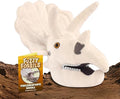 Triceratops skull stuffed