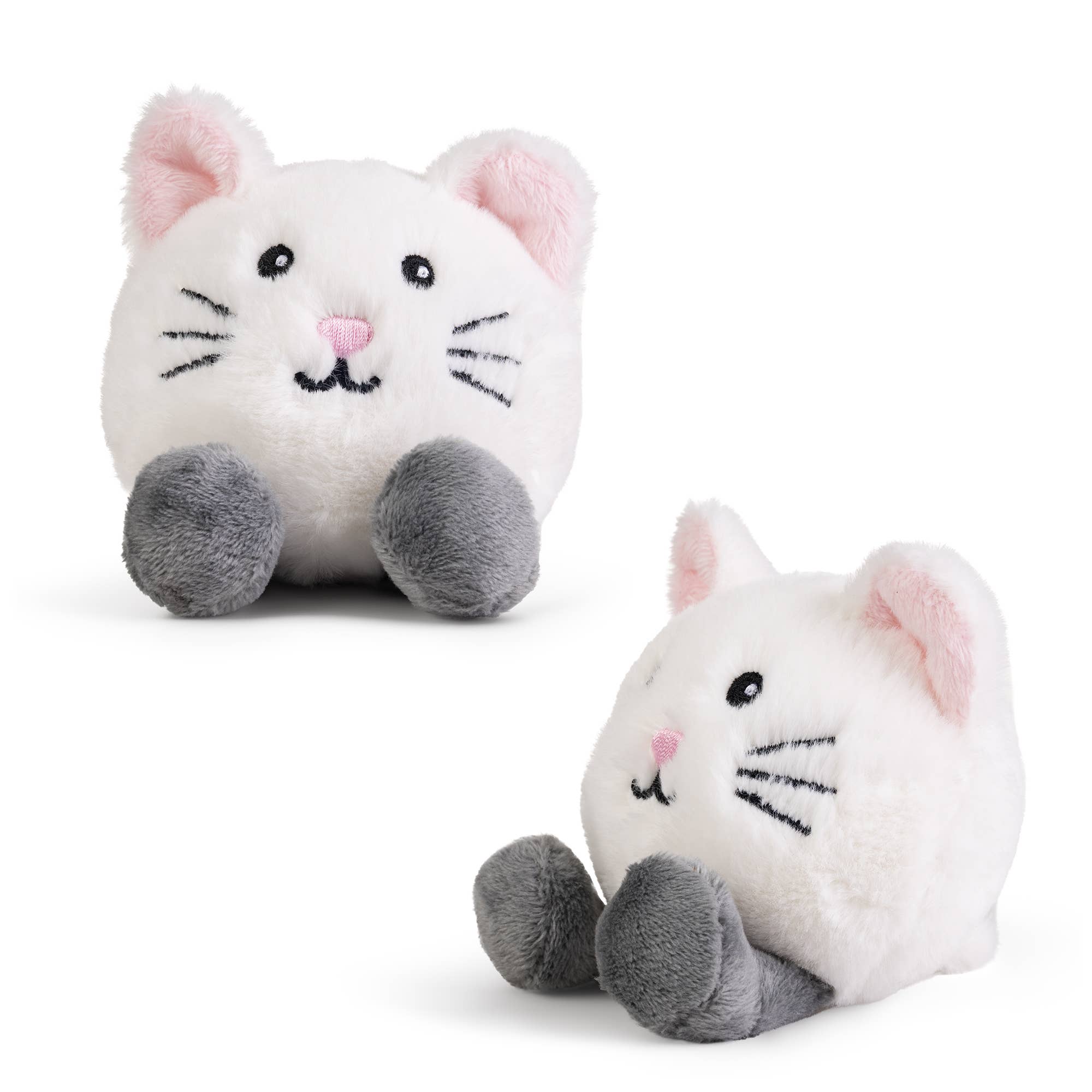 LITTLE PAWS Cat