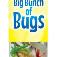 Big Bunch of Bugs