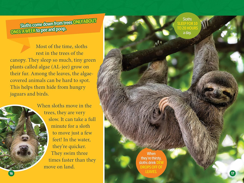 Amazon Animals - National Geographic Kids