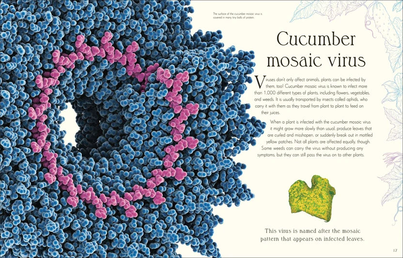 Anthology of Micro Life