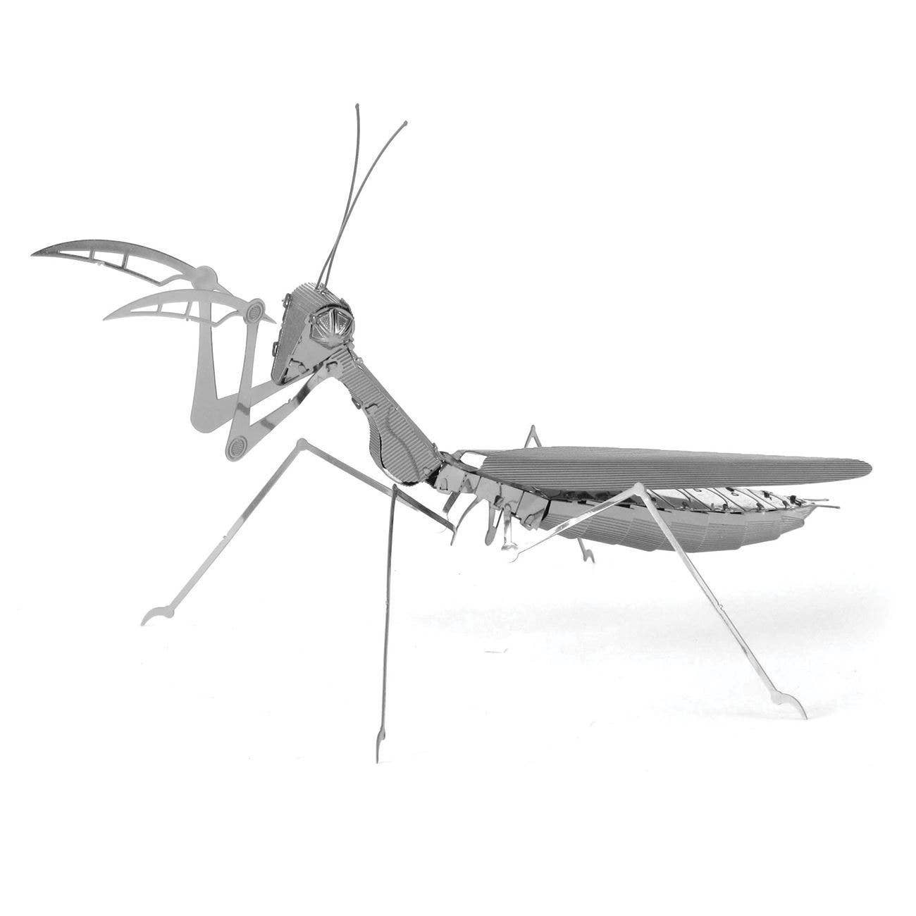 Praying Mantis - Metal Earth