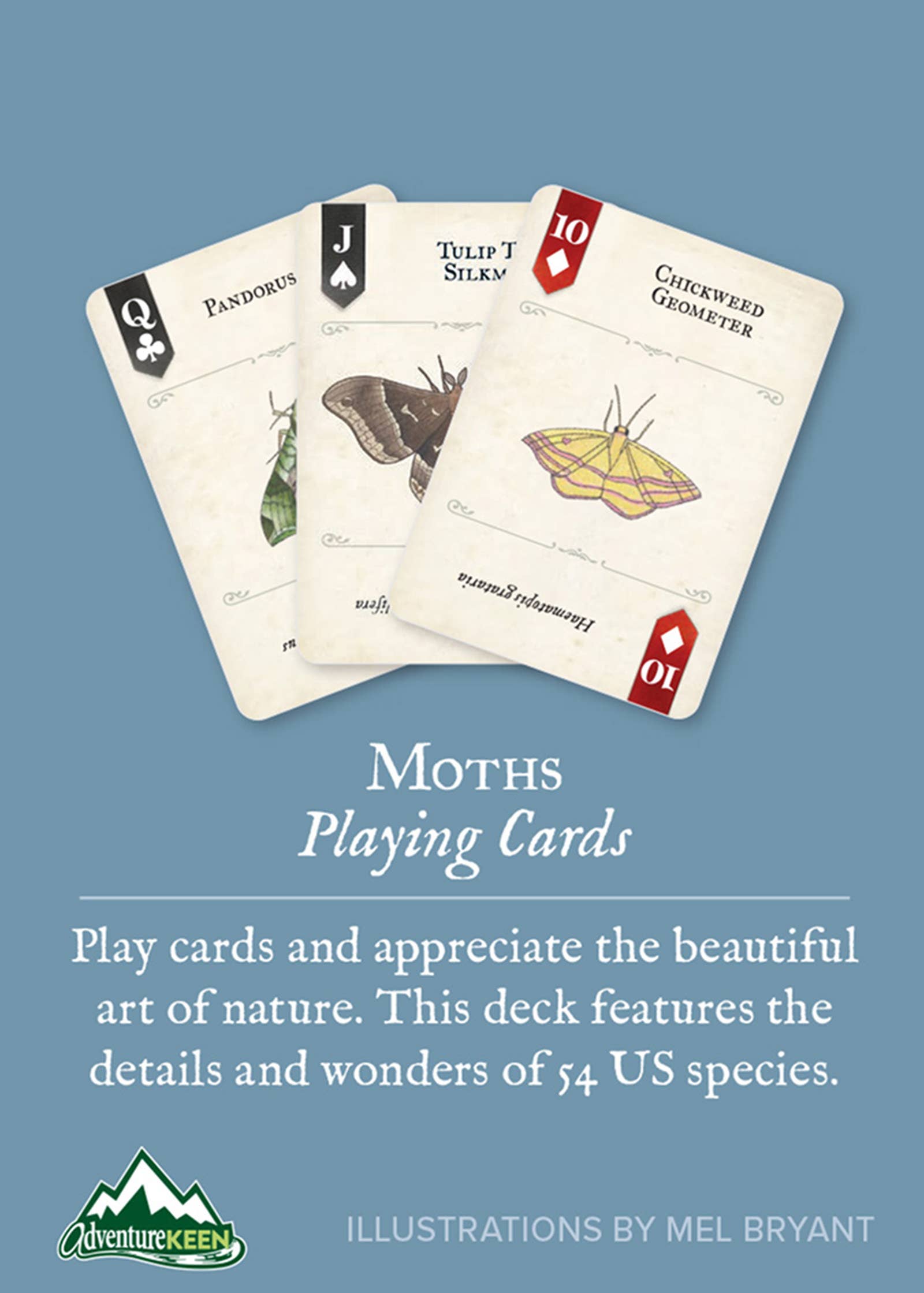 Moths Playing Cards