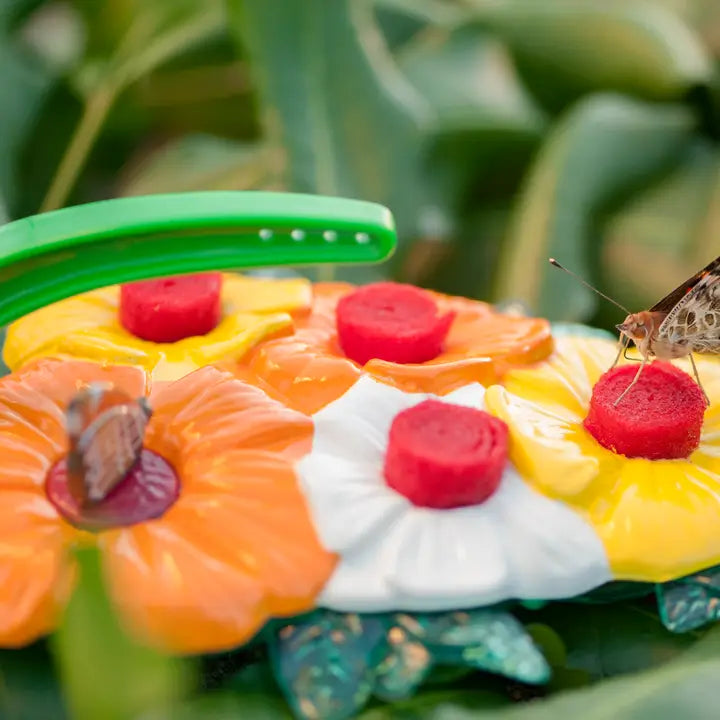 Butterfly Feeder