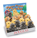 Chicks Assortment