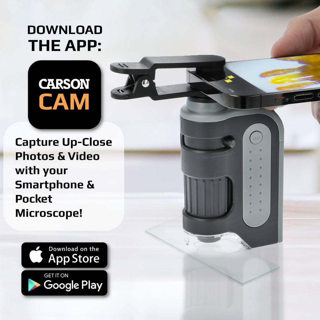 Pocket Microscope & Smartphone Adapter Clip, for Digiscoping