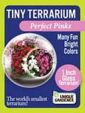 Tiny Terrariums Flowering with 6 Varieties