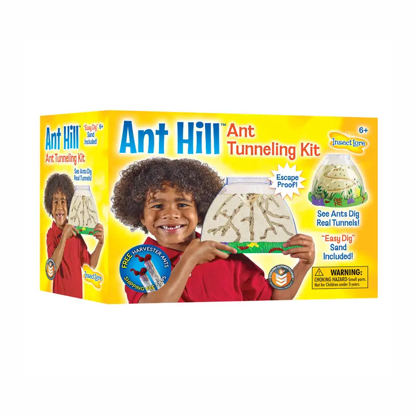 Ant Hill