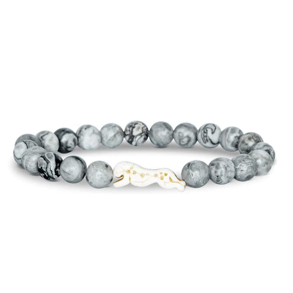 The Sprint Bracelet (Cheetah): Cloudburst
