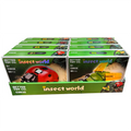 Insect World Building Brick