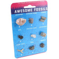 Awesome Fossils