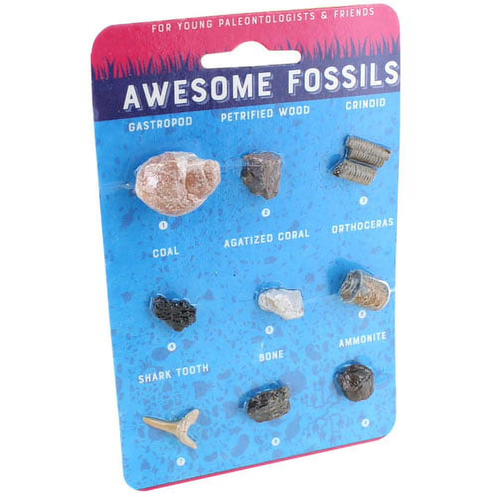 Awesome Fossils