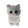 Furley - Beanie Babies