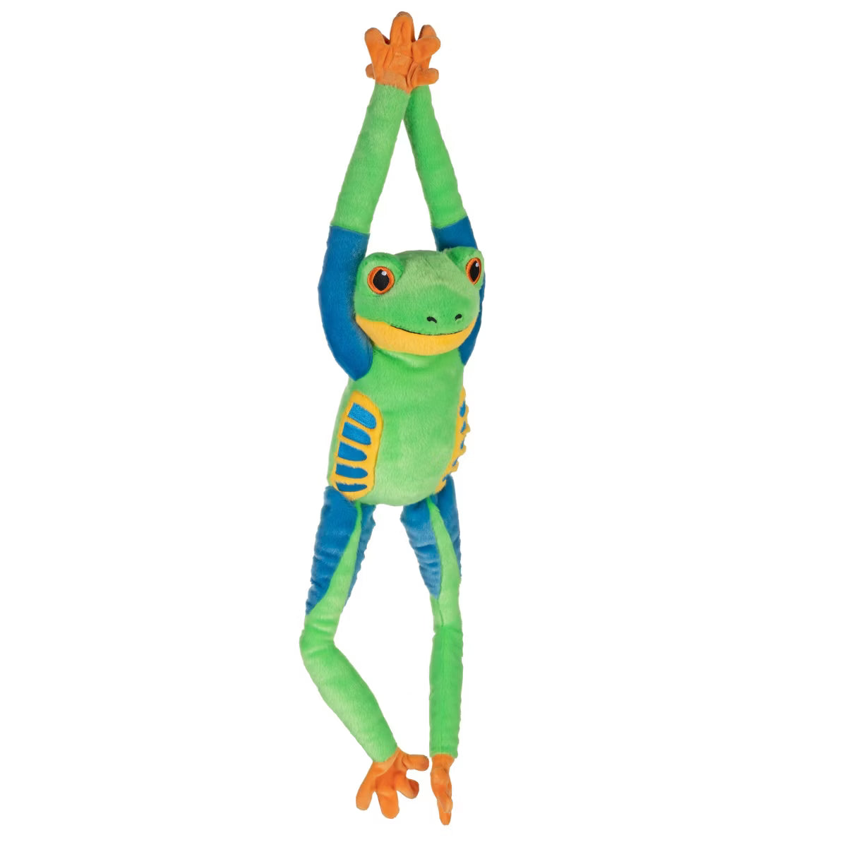 Hanging Eco Red-Eyed Tree Frog