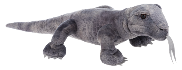 Komodo Dragon
