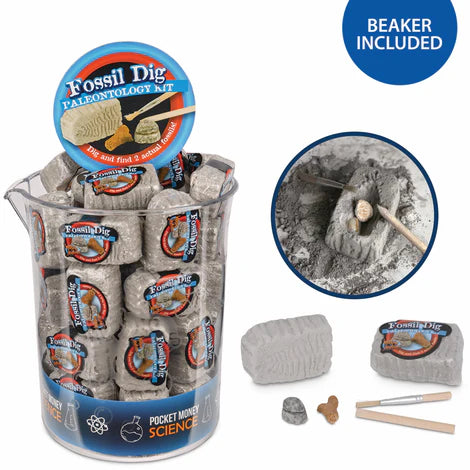 Fossil dig in beaker