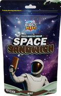 Space Sandwich: Mint Chocolate Chip