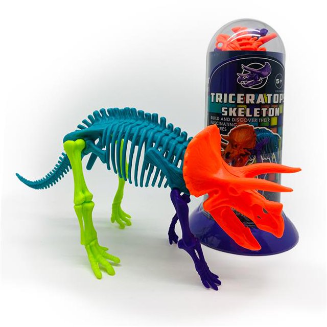 Triceratops Skeleton Tube Puzzle