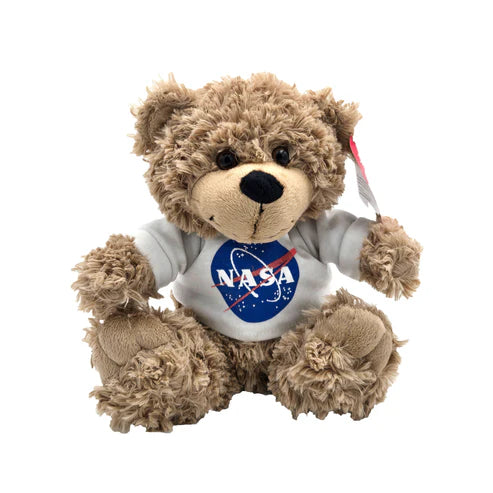 NASA Bear