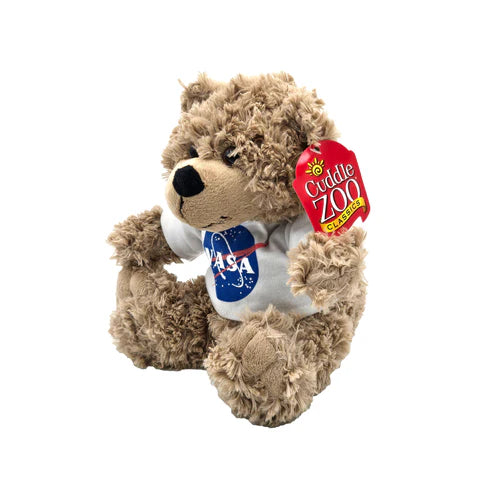 NASA Bear
