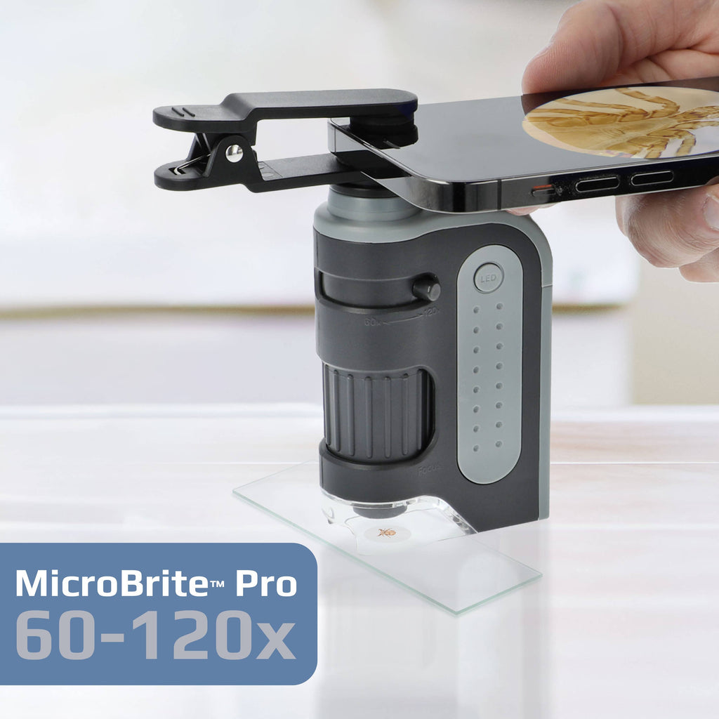 Pocket Microscope & Smartphone Adapter Clip, for Digiscoping