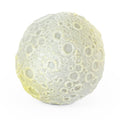 Light Up Moon Ball Sensory Toy