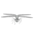 Dragonfly - Metal Earth