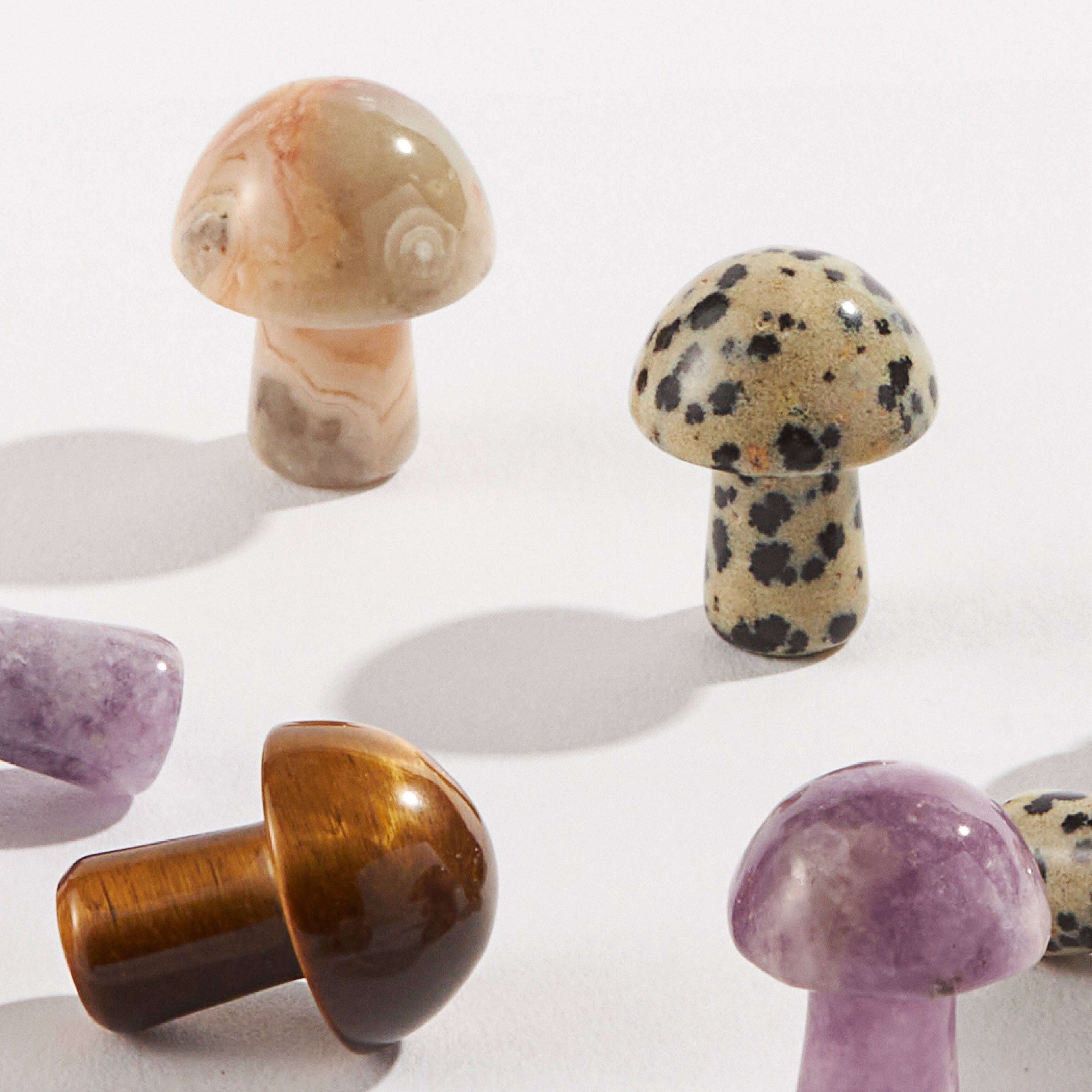 Crystal Mushrooms, Assorted
