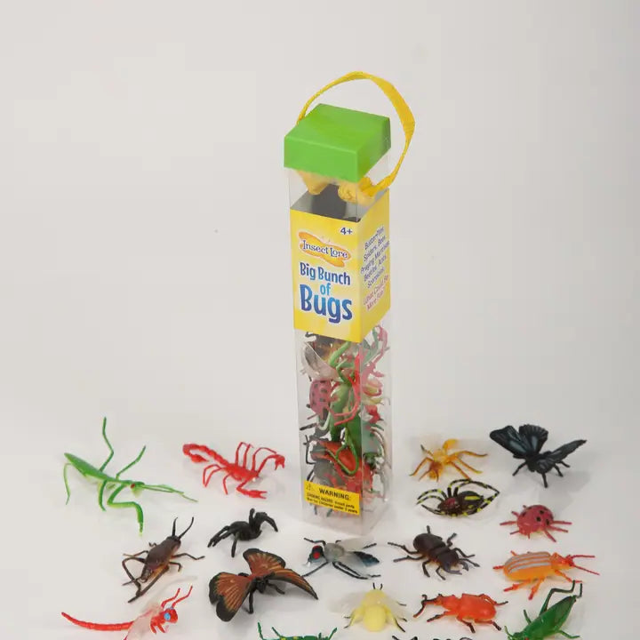 Big Bunch of Bugs