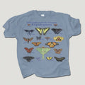 Lepidoptera 100% Hw Cotton Adult T-Shirt