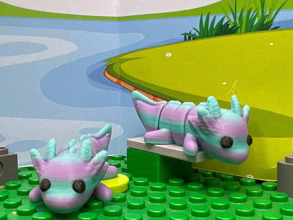 Axolotl Fidget Friend - Includes Play Scene