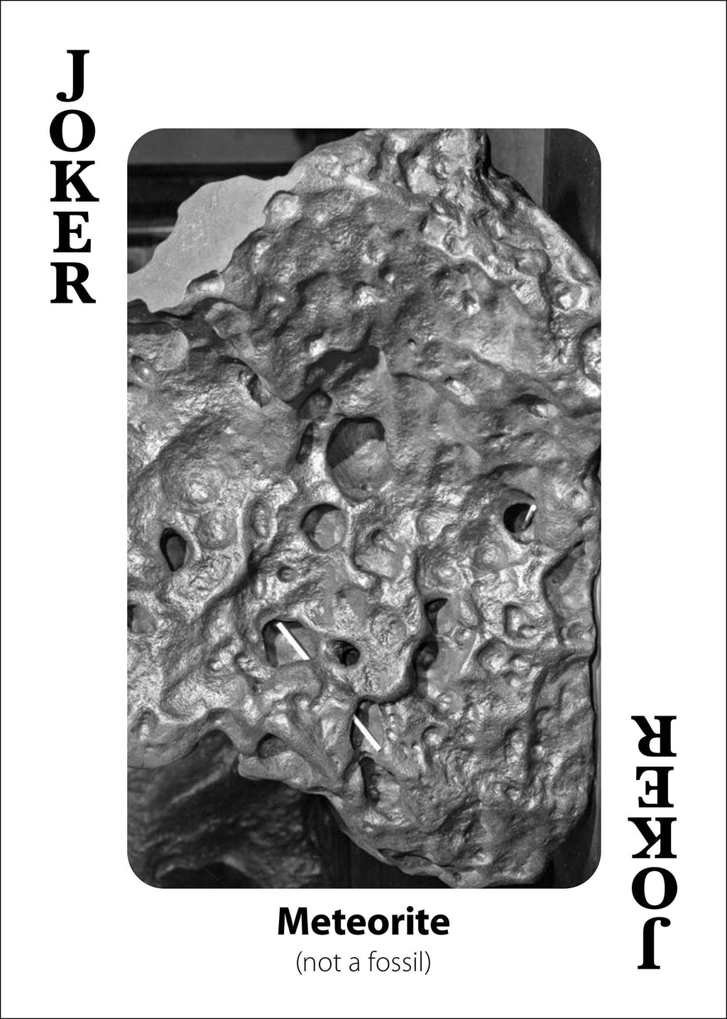 Fossils Playing Cards