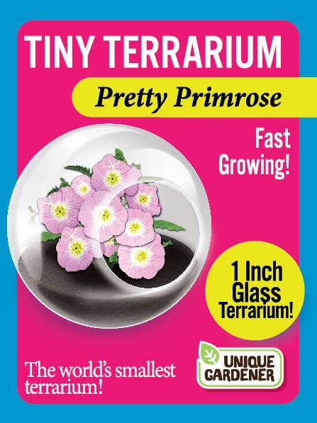 Tiny Terrariums Flowering with 6 Varieties