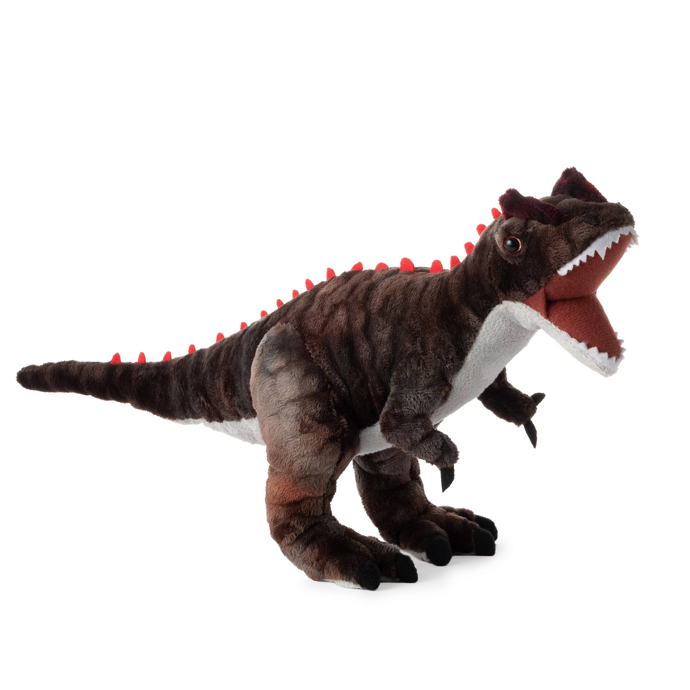 Dino/Dinosaur Allosaurus Small 15" (38cm)