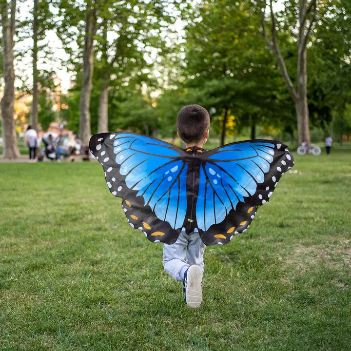 Butterfly Wings