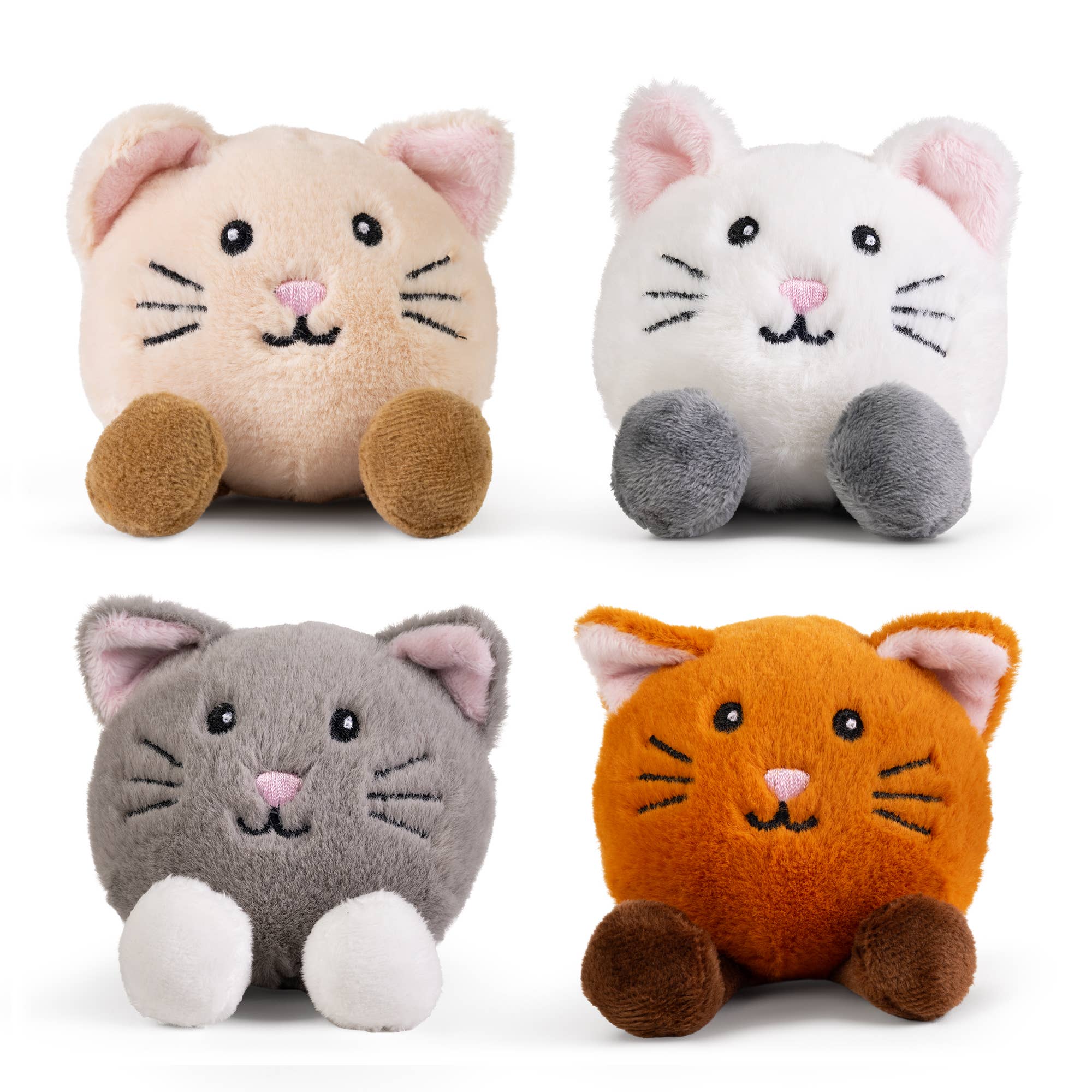 LITTLE PAWS Cat