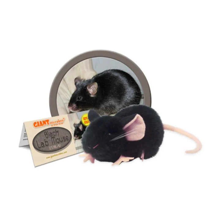 Black Lab Mouse