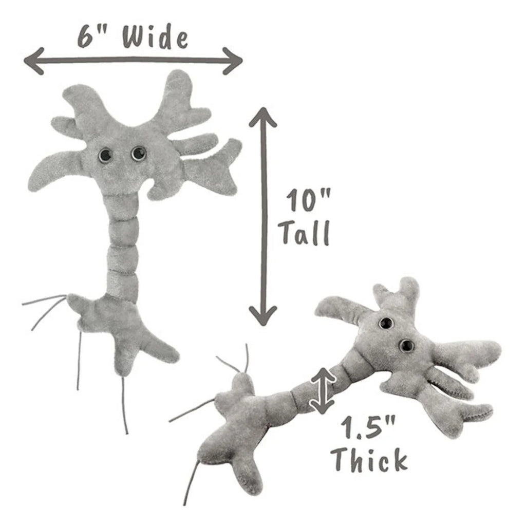 Brain Cell (Neuron)