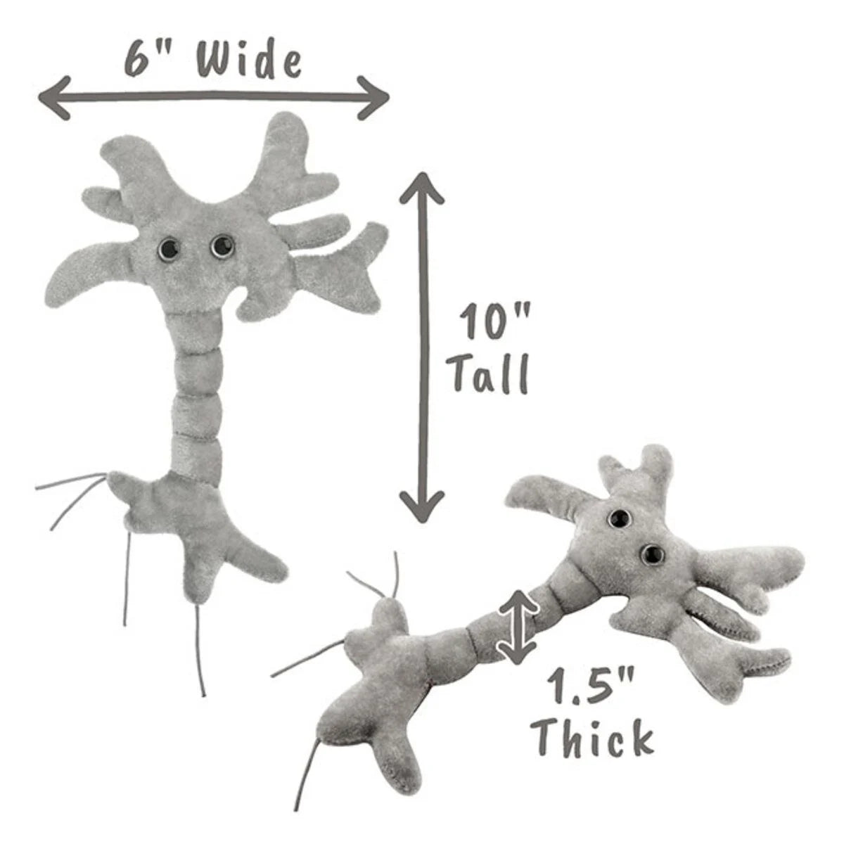 Brain Cell (Neuron)