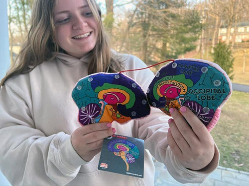 Brain Model