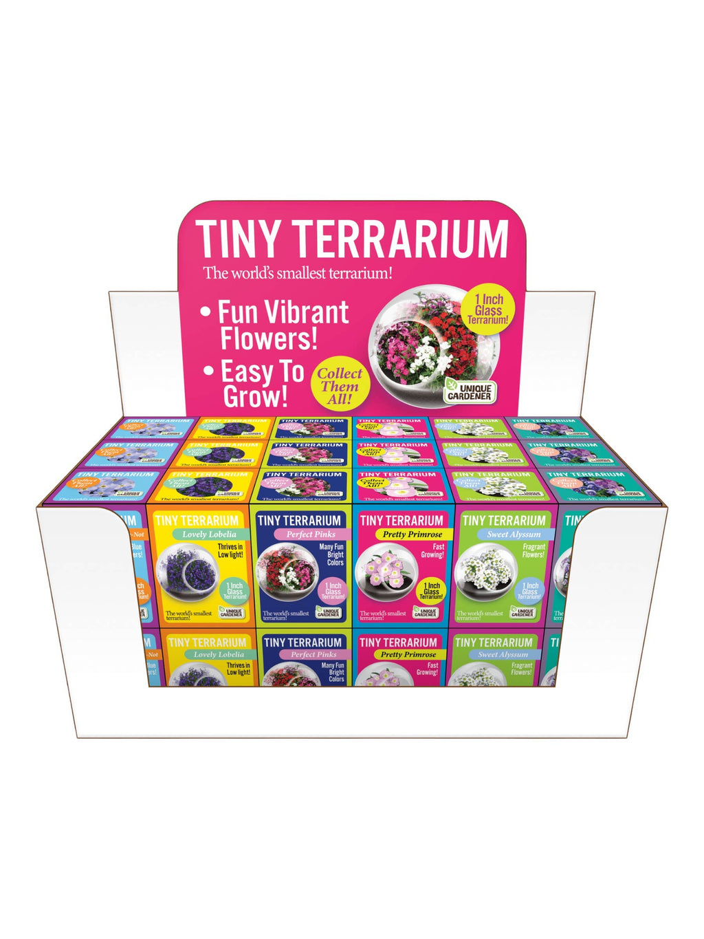 Tiny Terrariums Flowering with 6 Varieties