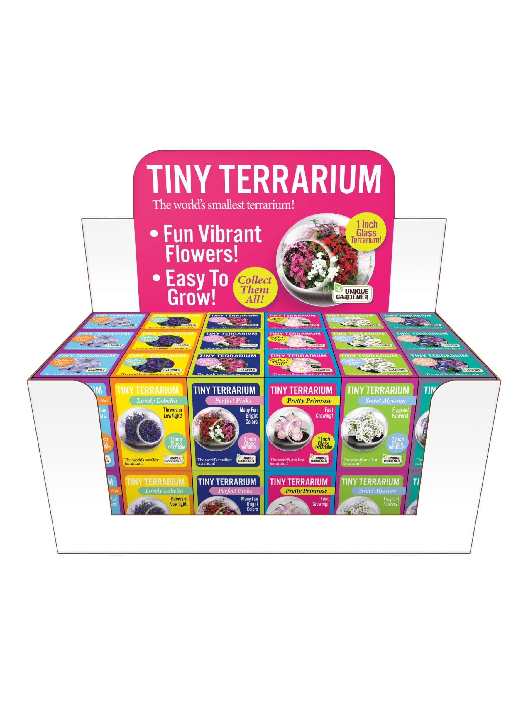 Tiny Terrariums Flowering with 6 Varieties