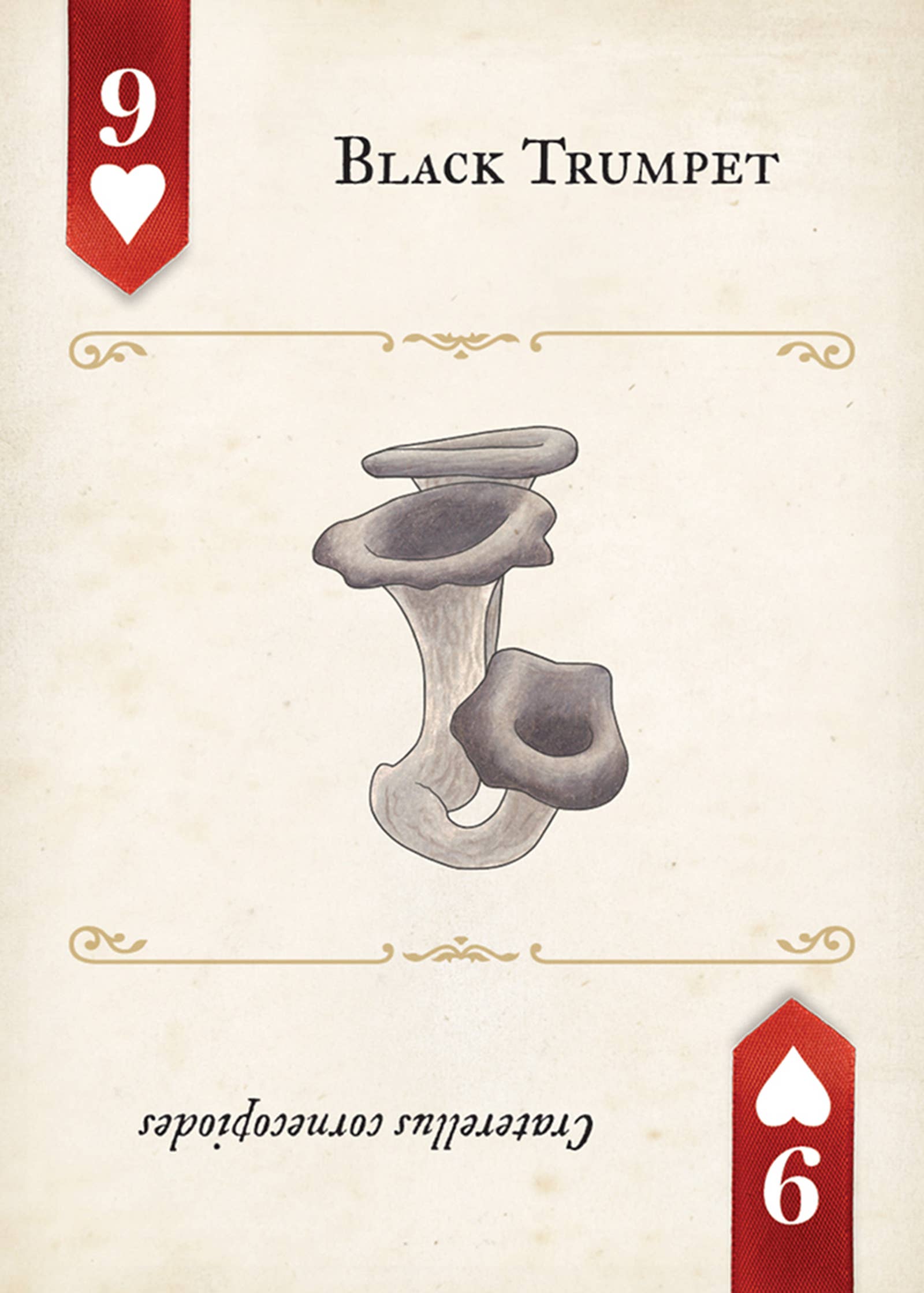 Fungi, Mushrooms & Lichens Playing Cards