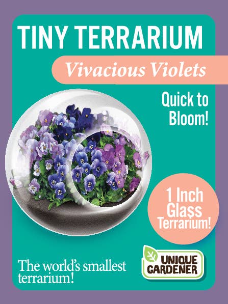 Tiny Terrariums Flowering with 6 Varieties